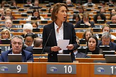 Read more about the article В Европарламенте разгорелся расистский скандал